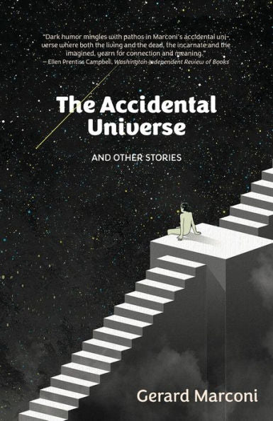 The Accidental Universe And Other Stories