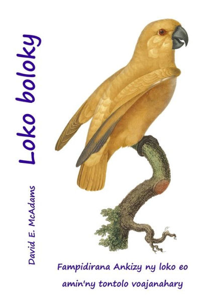 Loko Boloky: Fampidirana Ankizy Ny Loko Eo Amin'Ny Tontolo Voajanahary (Loko Ao Amin'Ny Tontolo Voajanahary) (Malagasy Edition)