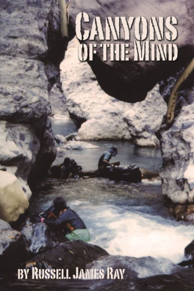 Canyons Of The Mind