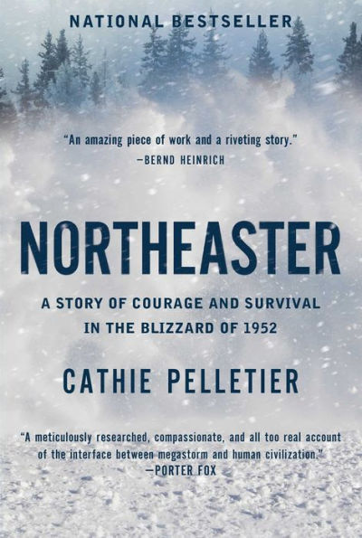 Northeaster: A Story Of Courage And Survival In The Blizzard Of 1952