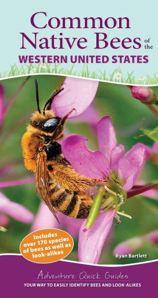 Common Native Bees Of The Western United States: Your Way To Easily Identify Bees And Look-Alikes (Adventure Quick Guides)