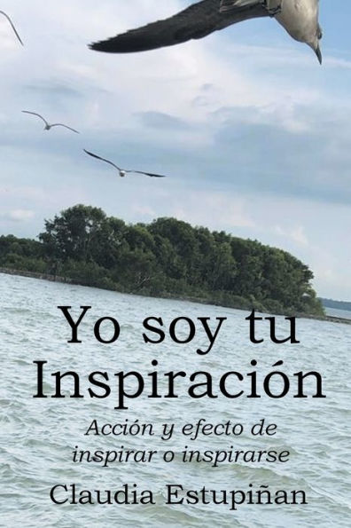 Yo Soy Tu Inspiración: Acción Y Efecto De Inspirar O Inspirarse (Spanish Edition)