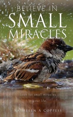 Believe In Small Miracles: Look For Small Miracles In Your Life. - 9781662860041