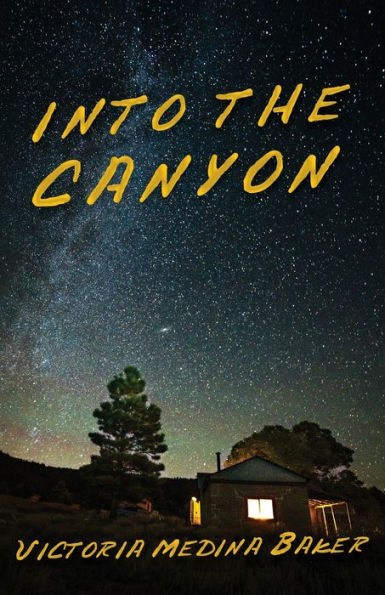 Into The Canyon (Kammer Family)