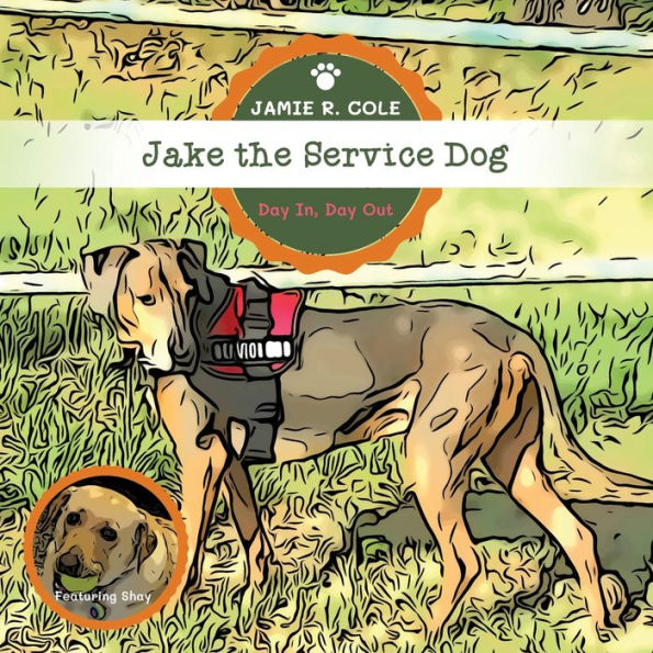 Jake, el perro de servicio: día tras día