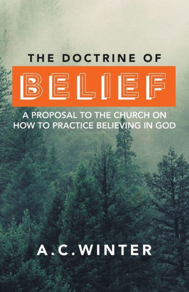 The Doctrine Of Belief: A Proposal To The Church On How To Practice Believing In God - 9781664276895