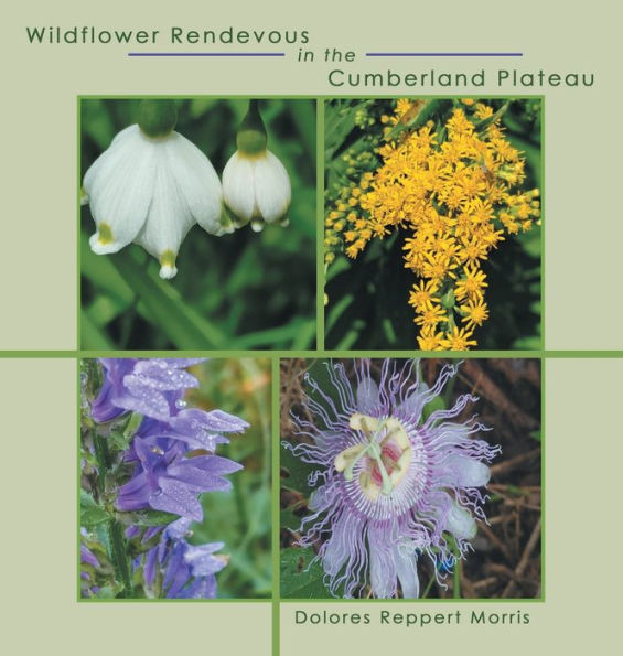 Wildflower Rendevous In The Cumberland Plateau