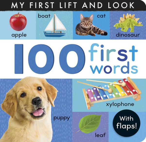 100 First Words: My First Lift And Look