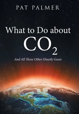 What To Do About Co2: And All Those Other Ghastly Gases - 9781665724463