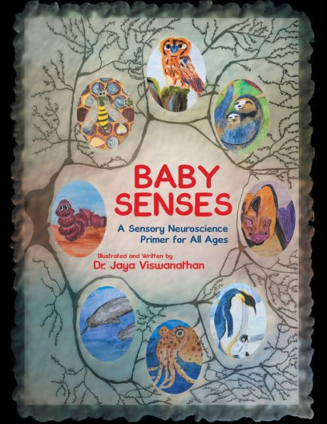Baby Senses: A Sensory Neuroscience Primer For All Ages