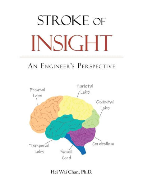 Stroke Of Insight: An Engineer’S Perspective