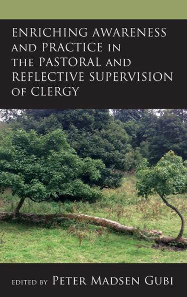 Enriching Awareness And Practice In The Pastoral And Reflective Supervision Of Clergy