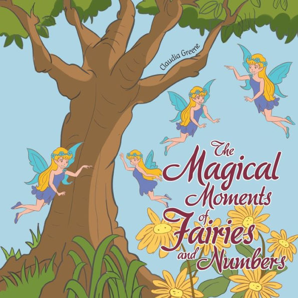 The Magical Moments Of Fairies And Numbers