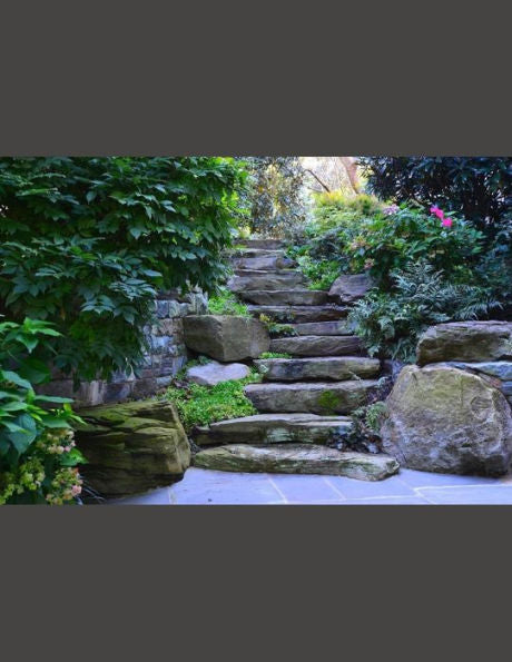 Sectional Stone: Graphing Grids (Equatorial Scenes)