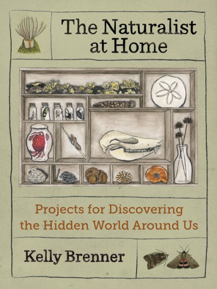 The Naturalist At Home: Projects For Discovering The Hidden World Around Us