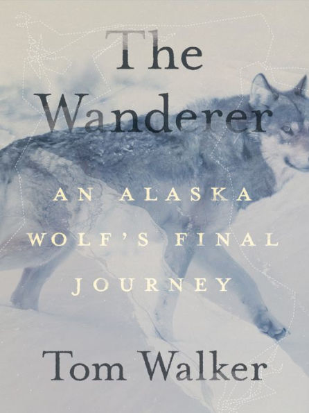 The Wanderer: El viaje final de un lobo de Alaska