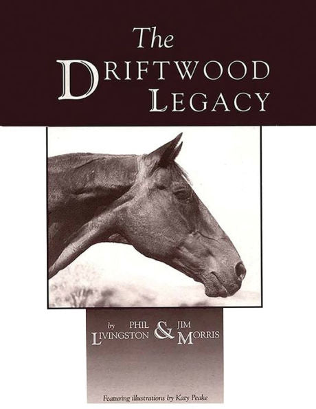 The Driftwood Legacy: un gran caballo usin y padre de caballos usin