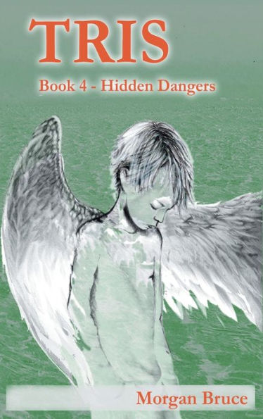 Tris 4: Hidden Dangers - 9781682357460