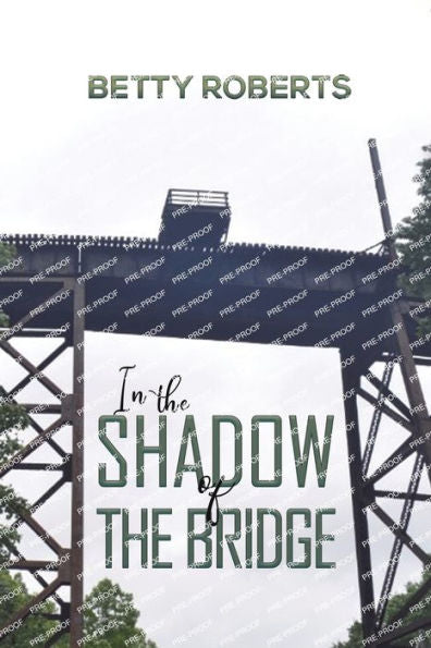 In The Shadow Of The Bridge