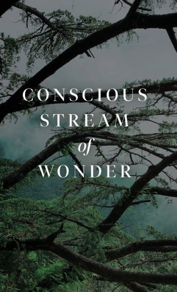Conscious Stream Of Wonder - 9781685835897