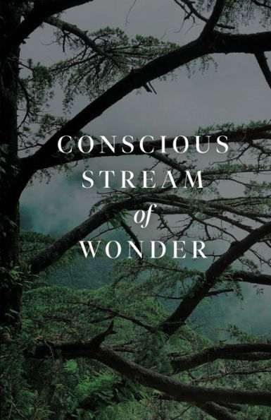 Conscious Stream Of Wonder - 9781685835903
