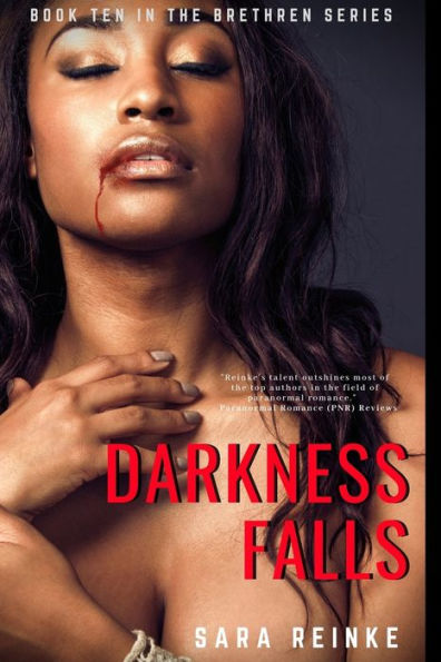 Darkness Falls (The Brethren Series)