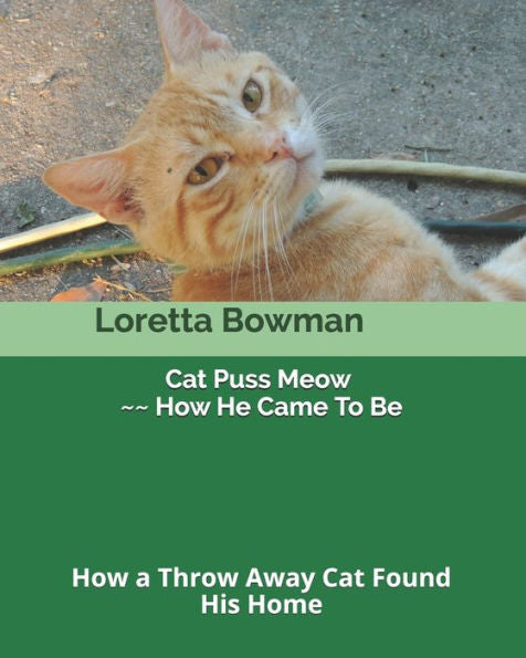 Cat Puss Meow ~~ How He Came To Be: How a Throw Away Cat Found His Home