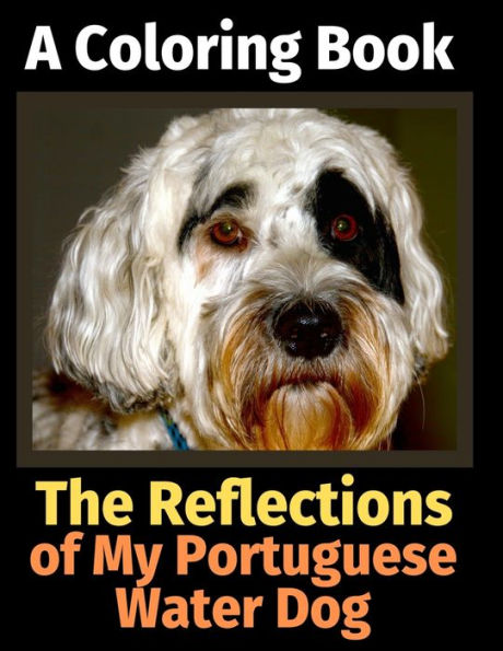 The Reflections Of My Portuguese Water Dog: A Coloring Book