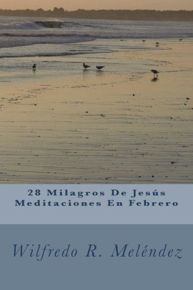 28 Milagros De Jesús Meditaciones En Febrero: Devocional (Edición Española)