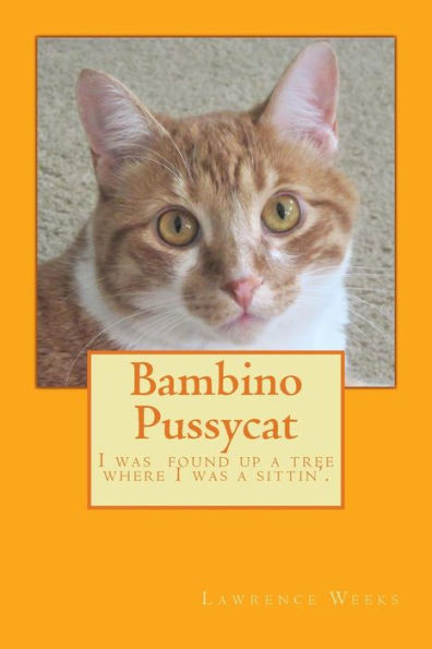 Bambino Pussycat