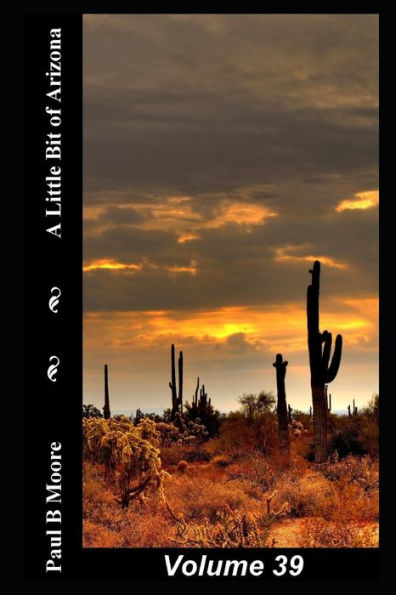 A Little Bit of Arizona: Volume 39
