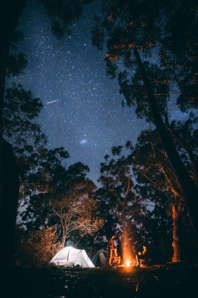 Campfire Starry Night Photo (Scenic Photo)