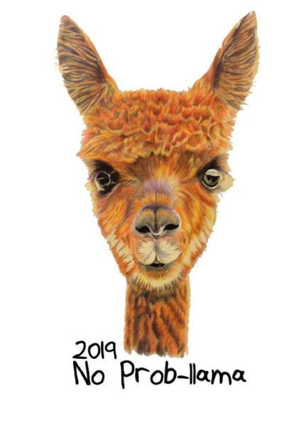 2019 No Prob-llama: Easy Plan Your Weeks In 2019