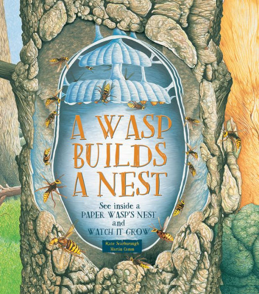 A Wasp Builds a Nest: See Inside a Paper Wasp's Nest and Watch It Grow