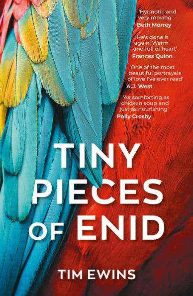 Tiny Pieces Of Enid - 9781785633102