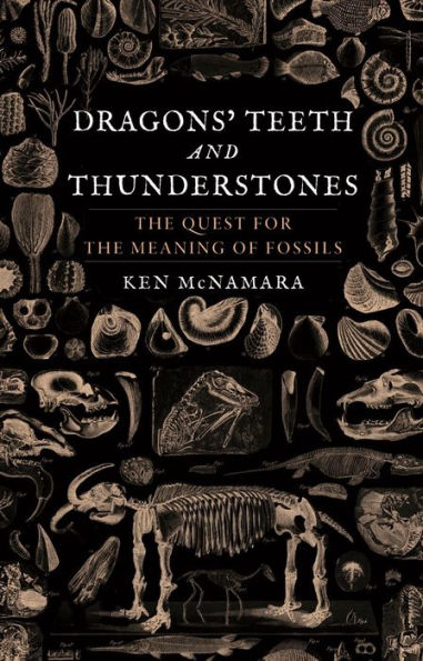Dragons’ Teeth and Thunderstones: The Quest for the Meaning of Fossils