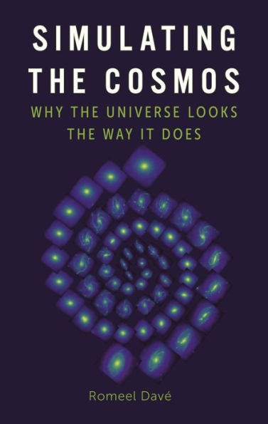 Simulating The Cosmos: Why The Universe Looks The Way It Does - 9781789147148