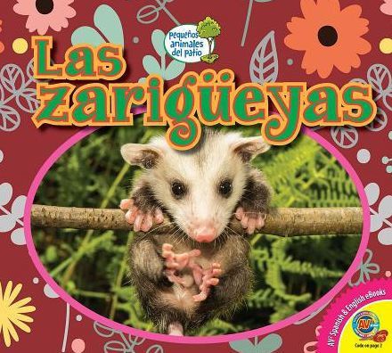 Las Zarigüeyas