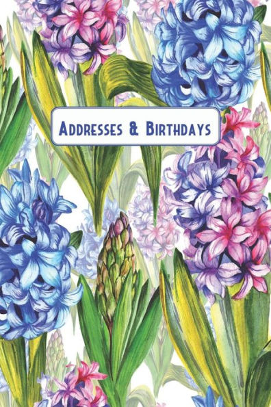 Addresses & Birthdays: Watercolor Hyacinths