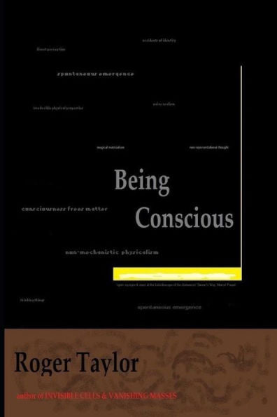Being Conscious: A book about Consciousness and Consciousness of Consciousness