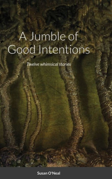 A Jumble Of Good Intentions: Twelve Whimsical Stories - 9781794873964