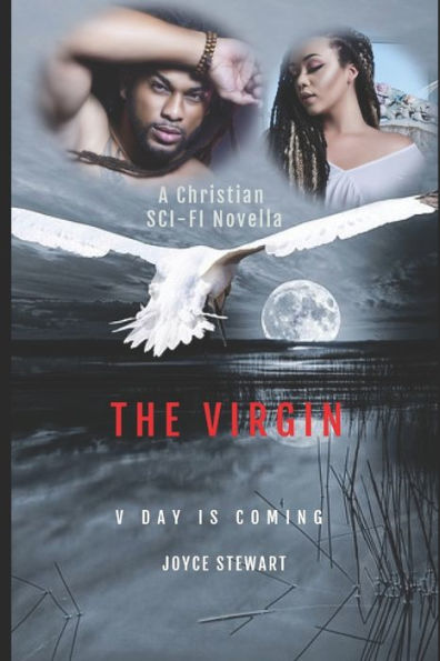The Virgin: V- Day Is Coming