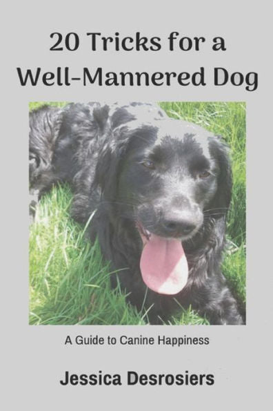 20 Tricks for a Well-Mannered Dog