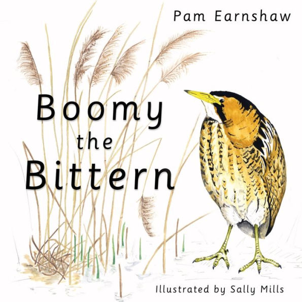 Boomy The Bittern