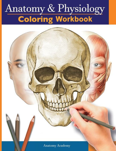 Anatomy And Physiology Coloring Workbook: The Essential College Level Study Guide Perfect Gift For Medical School Students, Nurses And Anyone Interested In Our Human Body - 9781804211984