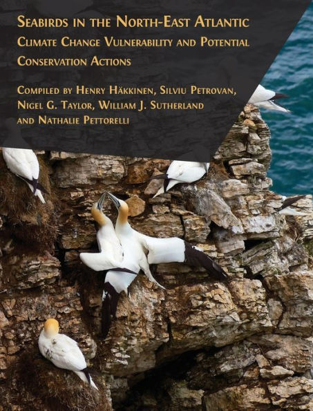 Seabirds In The North-East Atlantic
