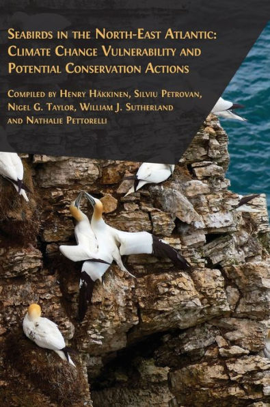 Seabirds In The North-East Atlantic - 9781805110125