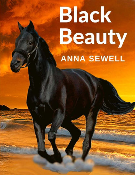 Black Beauty: The Autobiography Of A Horse - 9781805470731