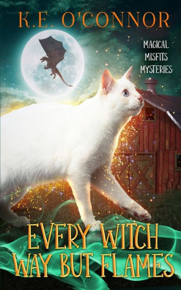 Every Witch Way But Flames (Magical Misfits Mysteries) - 9781915378606