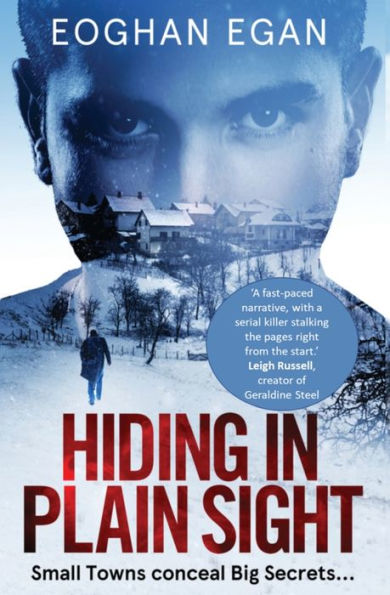 Hiding In Plain Sight (Ganestown Crime Series) - 9781915399113